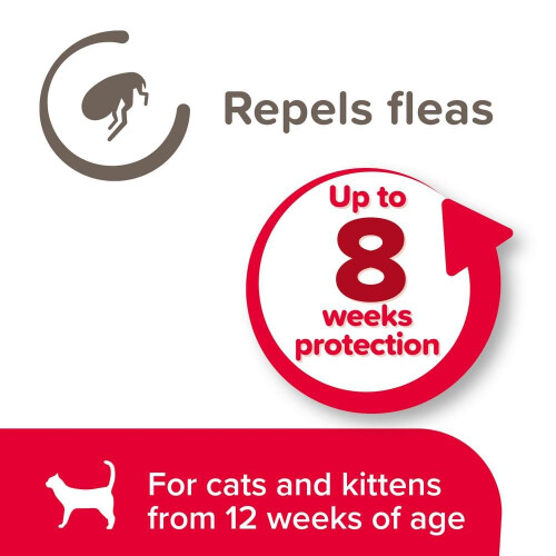 Beaphar Beaphar – Soft Flea Collar for Cats – Repels Fleas For up to 8 Weeks – Adjustabl 1