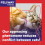 Feliway FELIWAY Friends 30 Day Cat Calming Odourless Refill for Pheromone Diffuser, 48ml 2