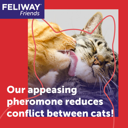 Feliway FELIWAY Friends 30 Day Cat Calming Odourless Refill for Pheromone Diffuser, 48ml 1