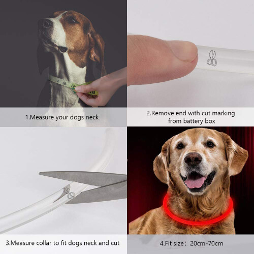 LED Dog Collar,Glow Light Collar for Dogs,Ultra Bright USB 2