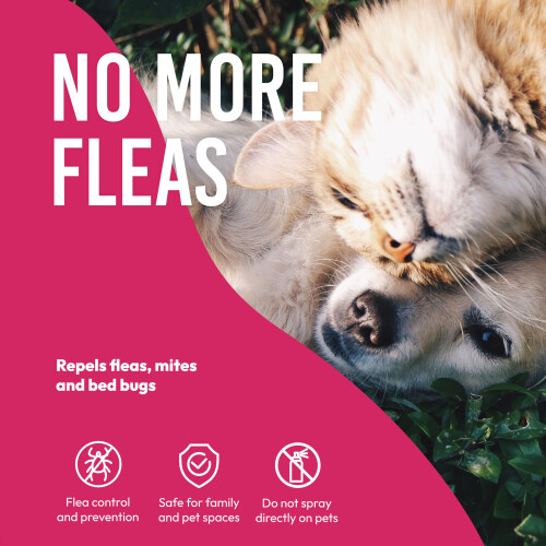 Petsly Flea Spray for the Home - 500ml - Max Strength, 100% Non-Toxic 1