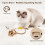 Migipaws Interactive Cat Toy,360 Rolling & Spin Migimouse with Wiggli 3