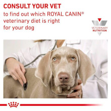 Royal Canin Veterinary Diet Canine Anallergenic Adult Dog 3 Kg