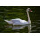 Extra Select Premium Floating Swan and Duck Feed, 15 kg 3