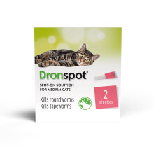 Dronspot Cat Worming Spot On Medium 2 Pack