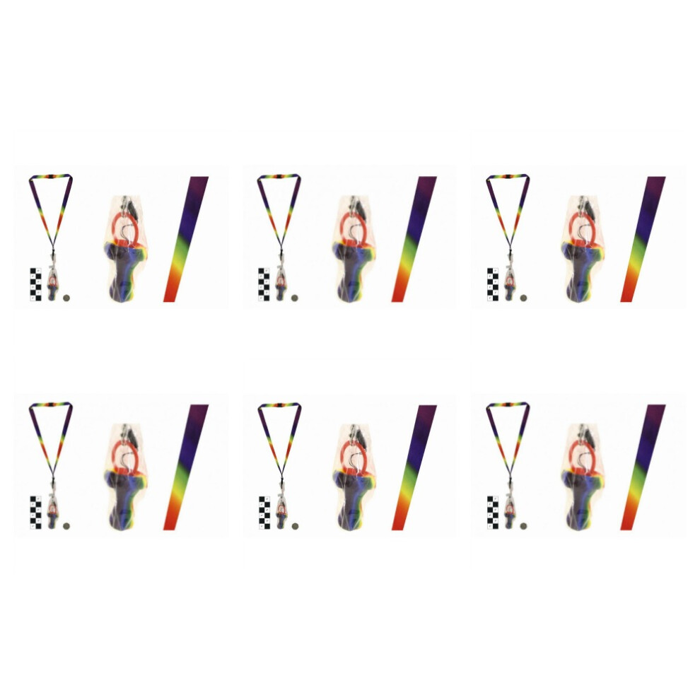 The Rock Company Pack Of 6 Rock Dummies With Rainbow Lanyards