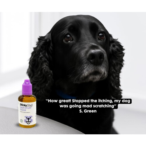 Stinky Stuff Ear Stuff - Soothe Itchy Irritated Ears 1