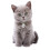 Blazers Kitten Friendly Cat Litter, Beige, 10L 3
