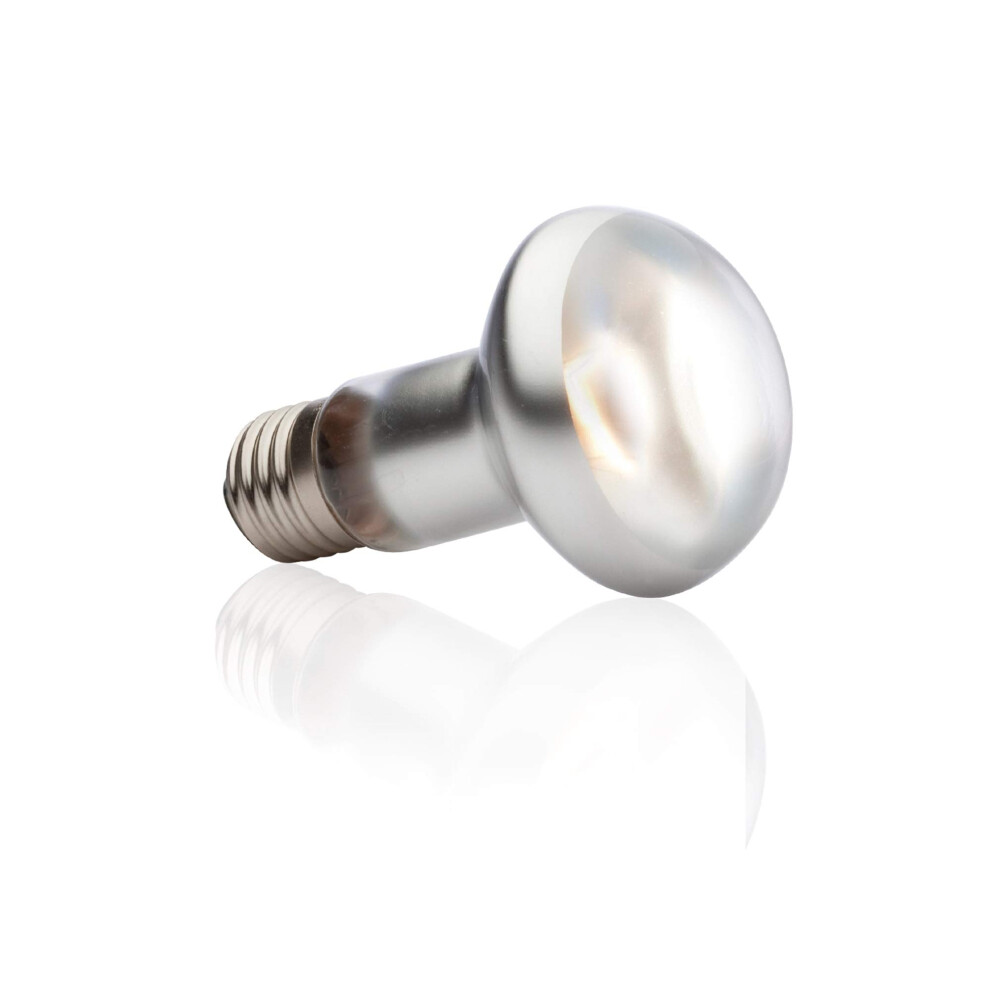 New Exo Terra Intense Basking Spot Lamp, 50 W