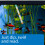 API 5-IN-1 TEST STRIPS Freshwater and Saltwater Aquarium Test Strips 25-Count Box 4