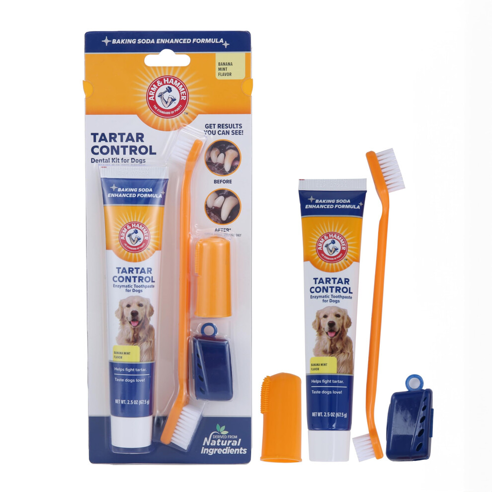 Arm & Hammer Tartar Control Dental Kit For Dogs, Banana Mint White