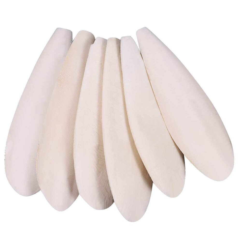 Angelikashalala Parrots Chew Toys 6 Pieces Natural Cuttlefish Bone For Parrots Cage Birds Reptiles Tortoises Snails,10-12Cm