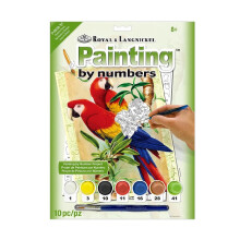 Paint By Number Junior Small Bamboo Parrots Art Set