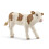 Schleich Schleich Simmental Calf 1