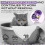 Cat Repellent Treatment, 2 Pack Repellent Collar, Adjustable for Small Medium La 3