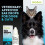 Otodex Petlife Ear Drops, 14 ml 2