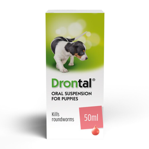 Drontal Puppy Liquid Wormer 50ml