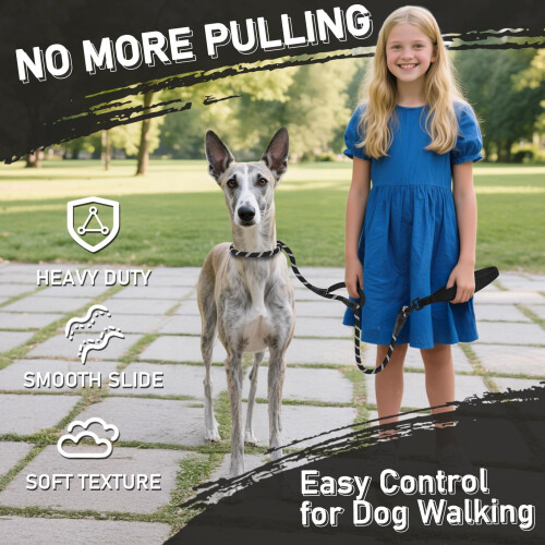 Kdsvakd Slip Lead for Dogs, 1.2M/1.5M/1.8M No Pull Training Leash with Double Co 2