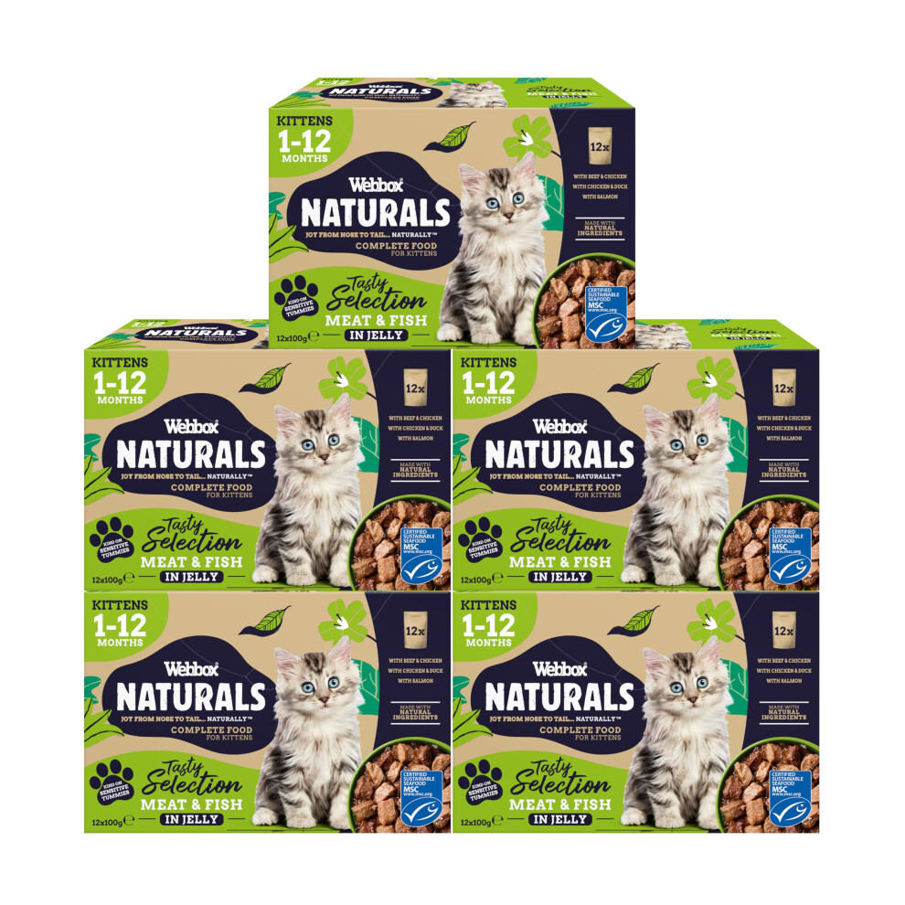 Photos - Bird Food Webbox Naturals Complete Kitten  Wet Cat Food, 60 x Meat & Fish in Jelly Variety Pack - Made with Natural Ingre(1-12 Months)
