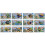 Single Build Blocks Insects 1