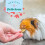Oxbow Natural Science Skin & Coat Support for Small Animals 6