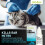Otodex Petlife Ear Drops, 14 ml 5