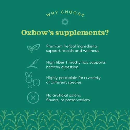 Oxbow Natural Science Skin & Coat Support for Small Animals 2