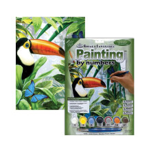 Paint By Number Small Jungle Toucan Set