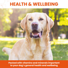 Vetzyme Once A Day Conditioning Tablets for Dogs (240 Tablets) - With B Complex Vitamins to Promote Fitness and Support a Healthy Immune Sys