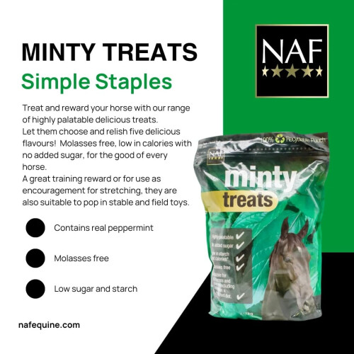 NAF Minty Treats (Pack of 2) 2