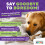 Outward Hound Nina Ottosson Interactive Dog Toys - Advanced Level 3 - 3