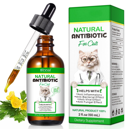 Antibiotics for Cats, Cat Antibiotics 60ml, Cat Antibiotics for Infect