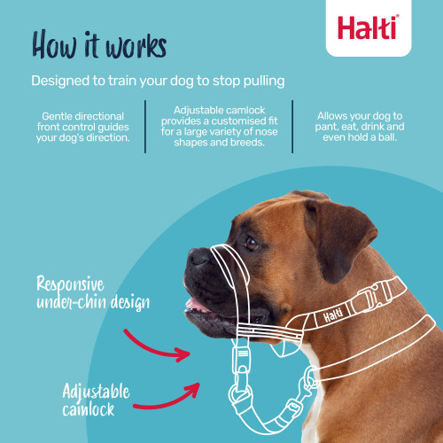 Halti HALTI Optifit Headcollar Size Medium, Dog Head Harness to Stop Pulling 1