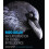 Bird Brain by Nathan Emery Hardcover Book 1