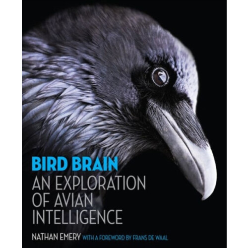 Bird Brain by Nathan Emery Hardcover Book