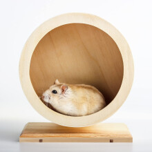 Seahelms Wooden Hamster Wheel, Small Pets Exercise Wheel, Mute Running Spinner Wheel for Rest And Exercise of Syrian Hamsters, Gerbils, Rat, Mice, Dw
