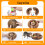 Kitty Kurlz Two-Pack Interactive Cat Toys, Accordion Kitten Scratchers 3
