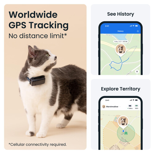 Tractive Smart Cat Tracker Mini | #1 Cat GPS | Real-Time Location Trac 1