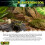 Exo Terra Plantation Soil Substrate, 8.8 Litre 5