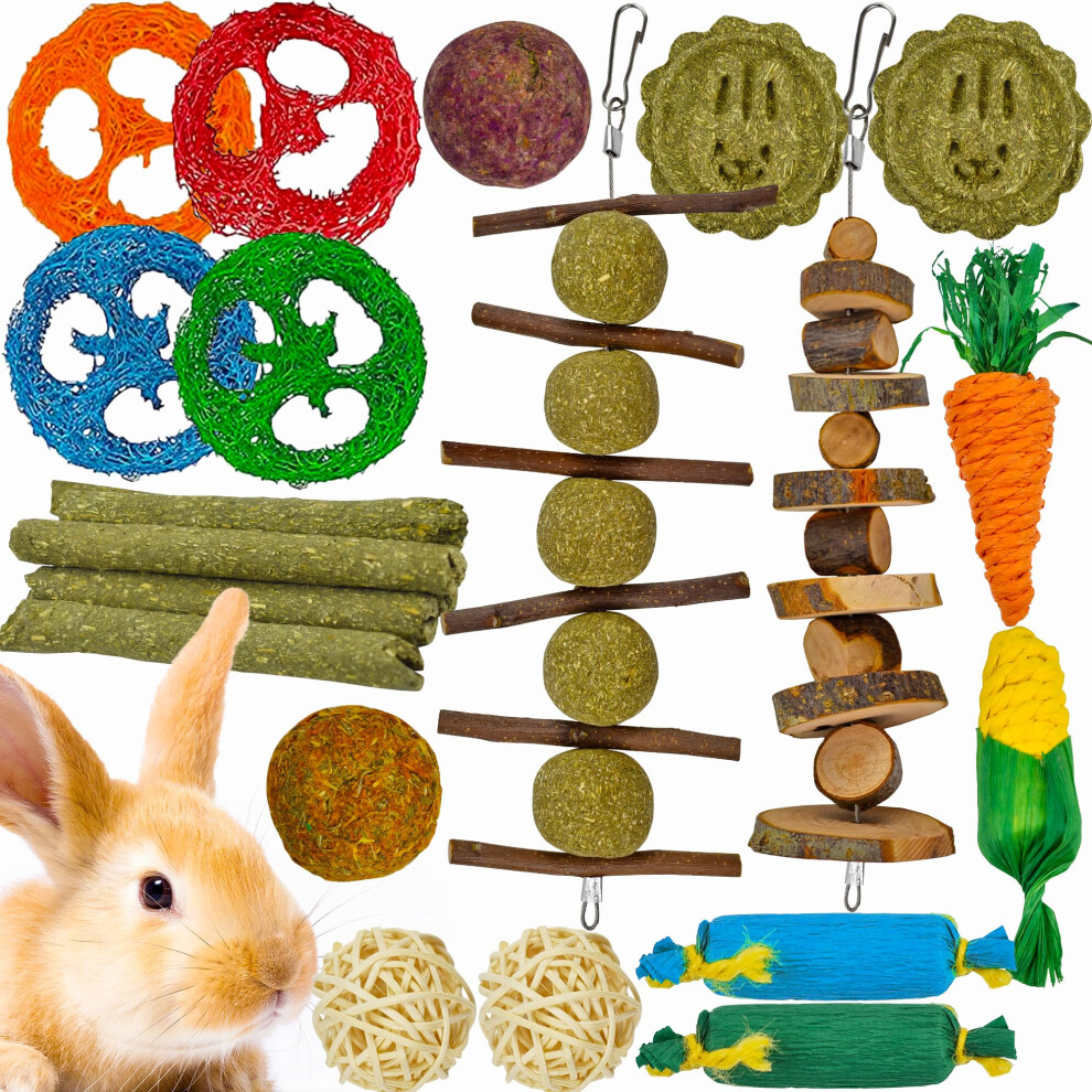 Ousiya 21-Pack Rabbit Toys Set, Natural Rabbit Chew Toys Boredom Breakers For Bunny, Hamster, Guinea Pig And Chinchilla, Apple Wood Timothy