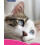 Ancol Ancol Ergo Cat Brush, clear 3