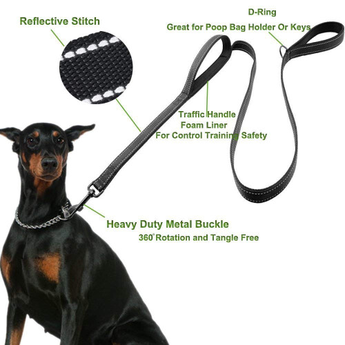 Dog Lead - Heavy Duty Nylon Training Leash for Medium/Large, Reflective Design, 1