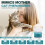 Cat Calming Diffuser 6 in 1 Multicat Calming Pheromones Diffusers Reli 4