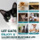 Cat Calming Diffuser 6 in 1 Multicat Calming Pheromones Diffusers Reli 3
