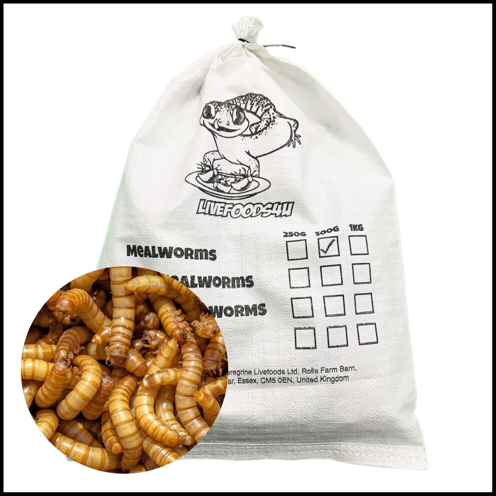 Livefoods4u Live Mealworms 500G | Bulk Bag | High Protein Live Food For Reptiles & Garden Birds | Bearded Dragons, Leopard Geckos & Wild Bir