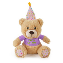 Rosewood Bonnie Birthday Bear Dog Toy