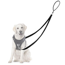Adiwo Two Point Control Dog Leash, Professional Anti-Pull Dog Lead wit