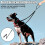 Adiwo Two Point Control Dog Leash, Professional Anti-Pull Dog Lead wit 5