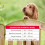 Beaphar Beaphar - Insecticidal Shampoo for Dogs – Kills Fleas Fast & Helps Prevent Flea 4