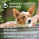 Beaphar Beaphar - Insecticidal Shampoo for Dogs – Kills Fleas Fast & Helps Prevent Flea 3